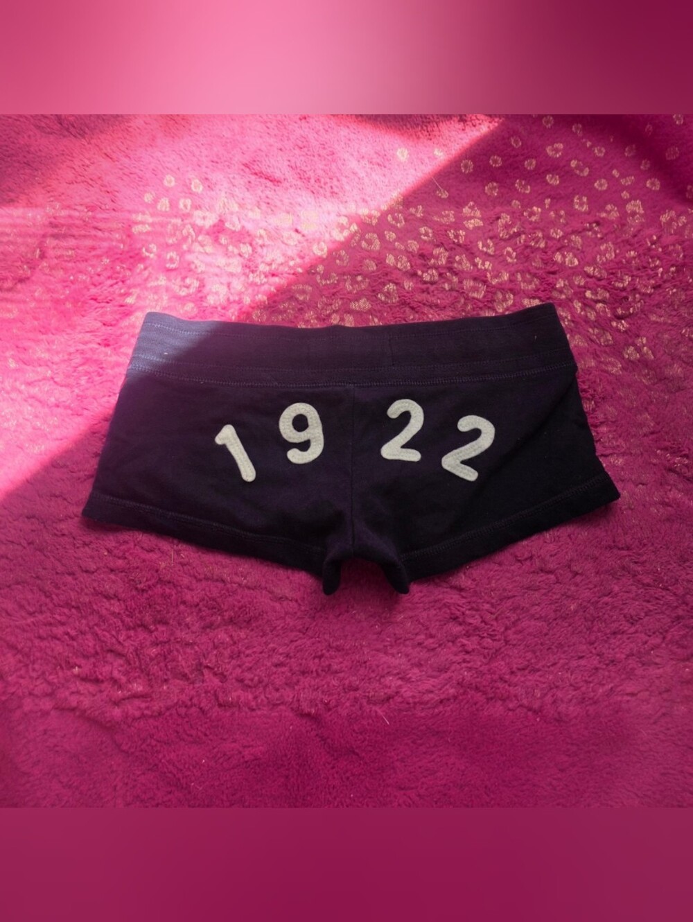2000s Hollister lowrise navy shorts Y2k Size Xs